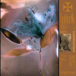 成人午夜免费播放
