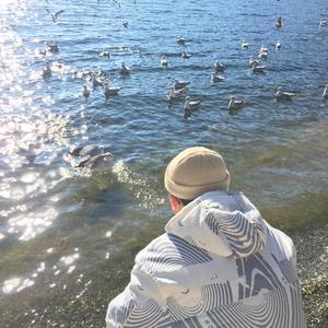 成人午夜免费播放
