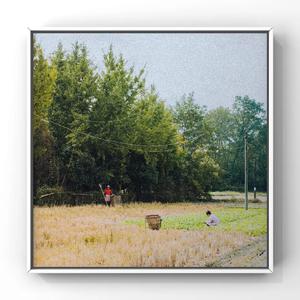 成人午夜免费播放
